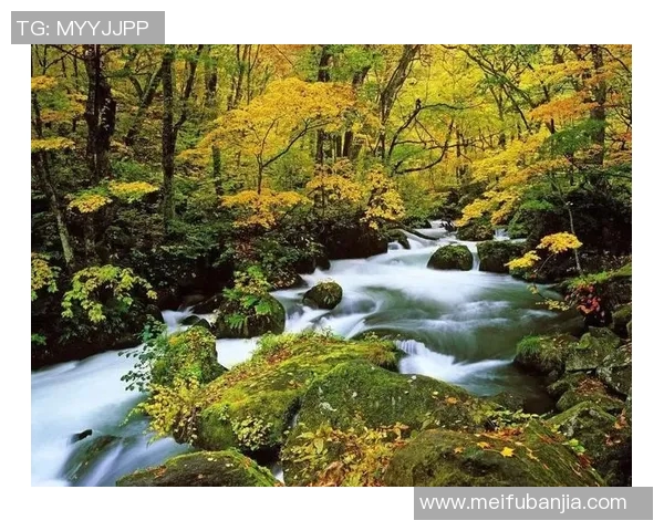 群马温泉与冈山绿的魅力对比探讨与旅游推荐