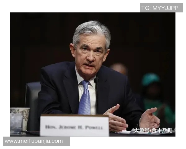 梅里诺羊毛的魅力与应用探秘：从时尚到家居的多元化发展之路