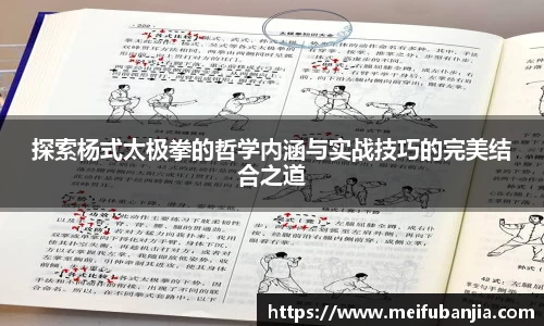 探索杨式太极拳的哲学内涵与实战技巧的完美结合之道